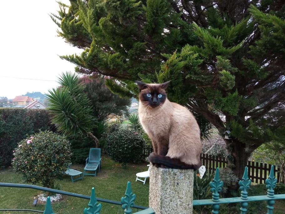 Casa Covelino Villa Poio Dış mekan fotoğraf